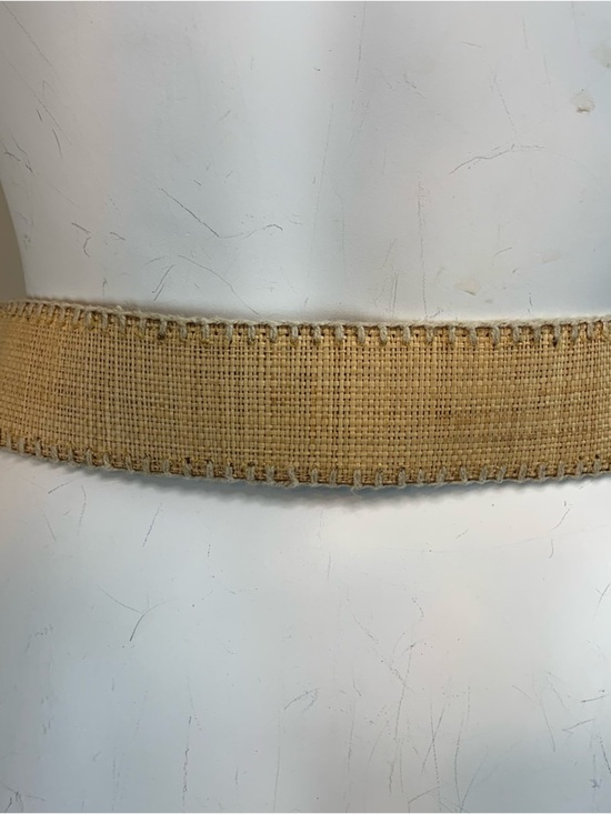 Elie Tahari Woven Wide Belt Beige main image 6